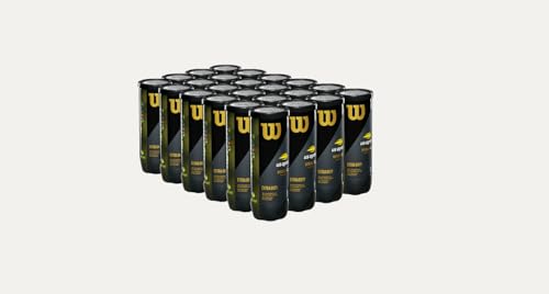 Wilson Extra Duty US Open tennis balls 24-can case